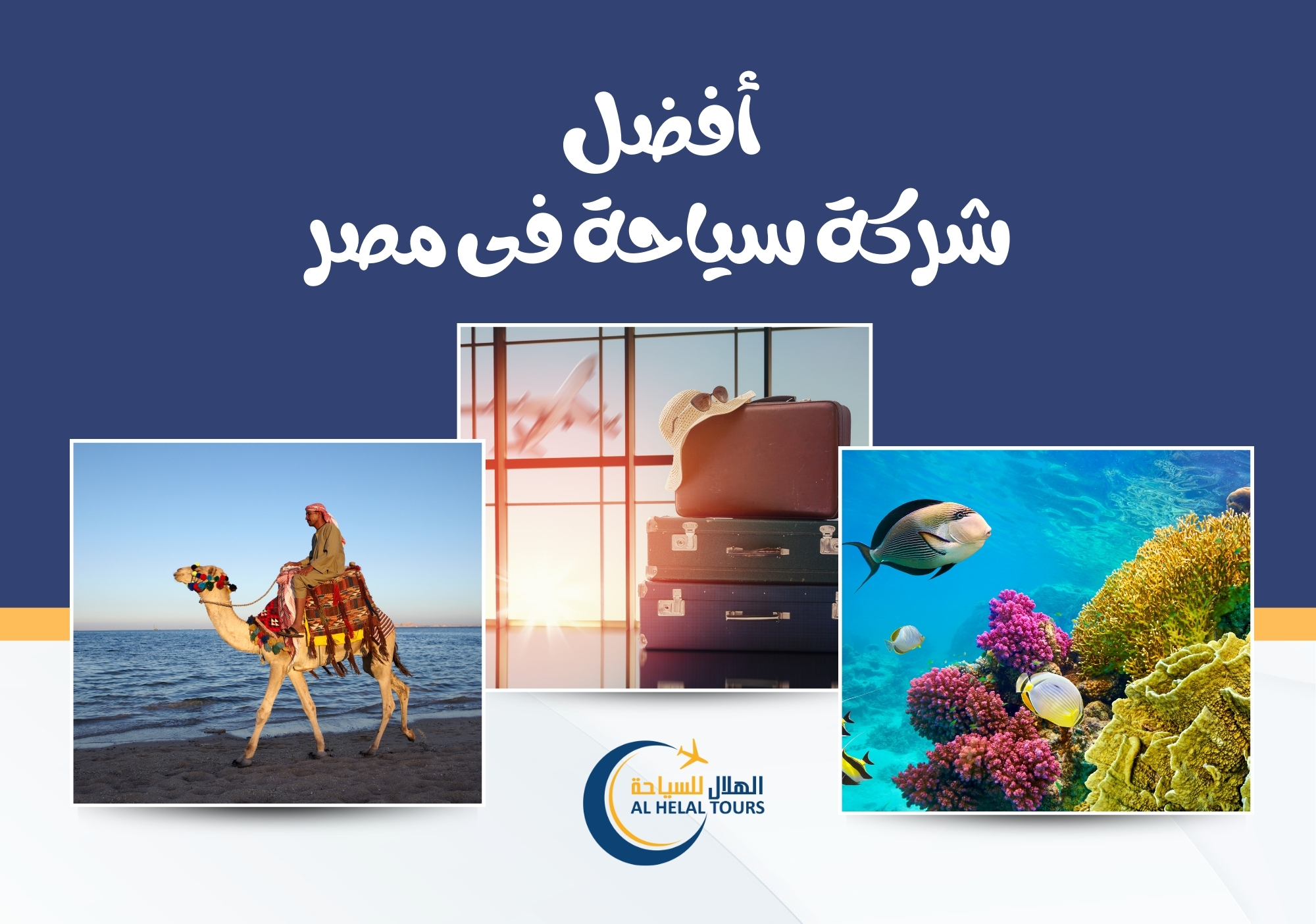 افضل شركات سياحة داخلية في مصر