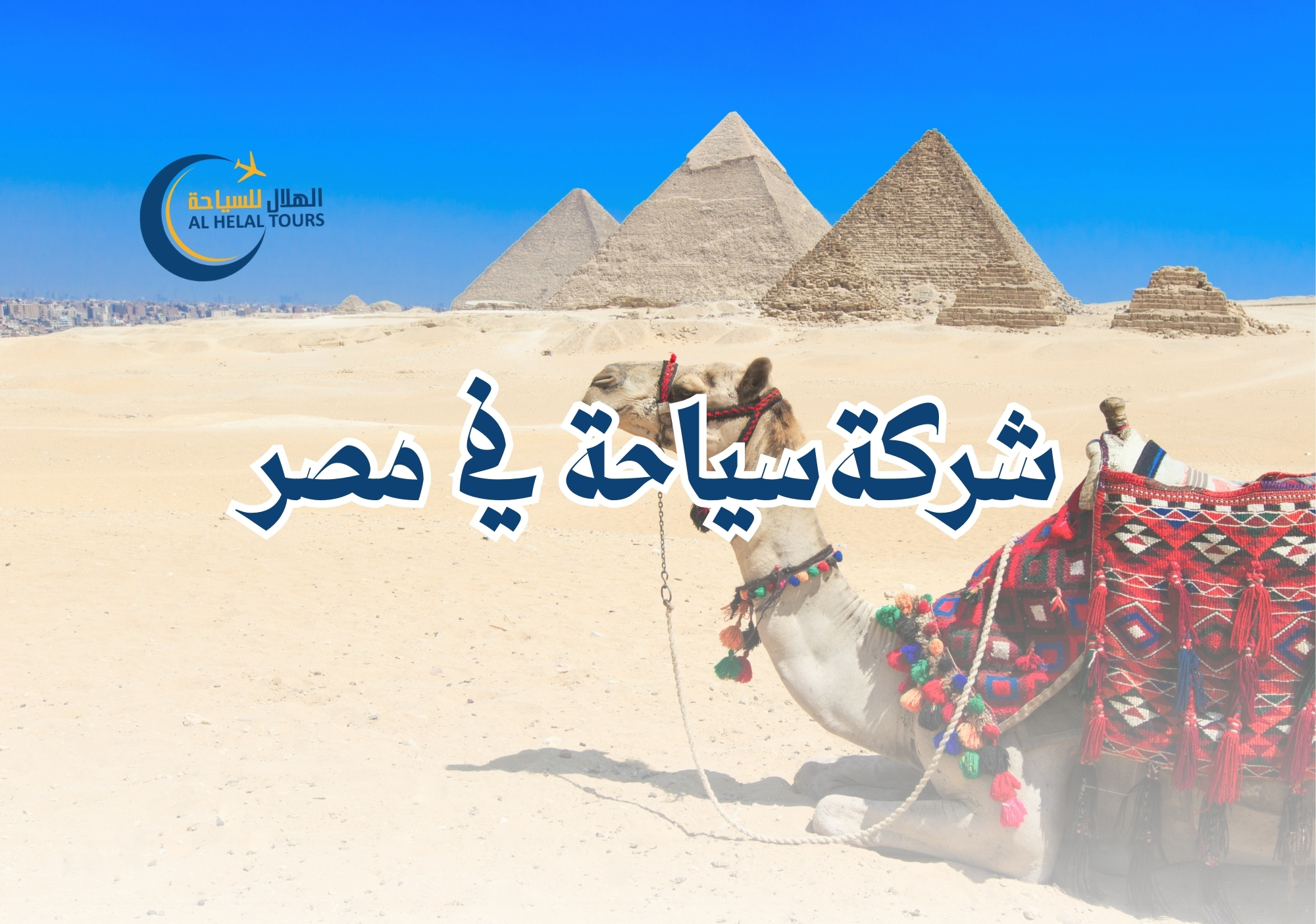 شركة سياحة في مصر
