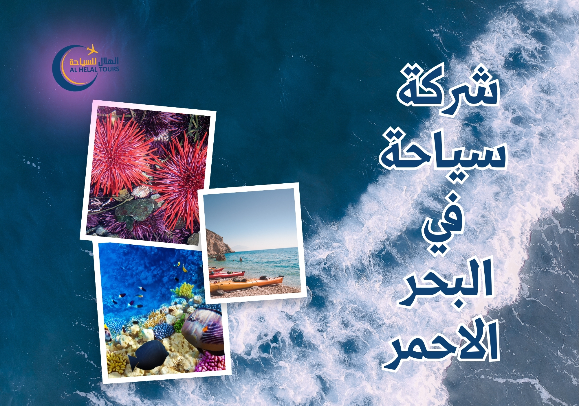 افضل شركة سياحة