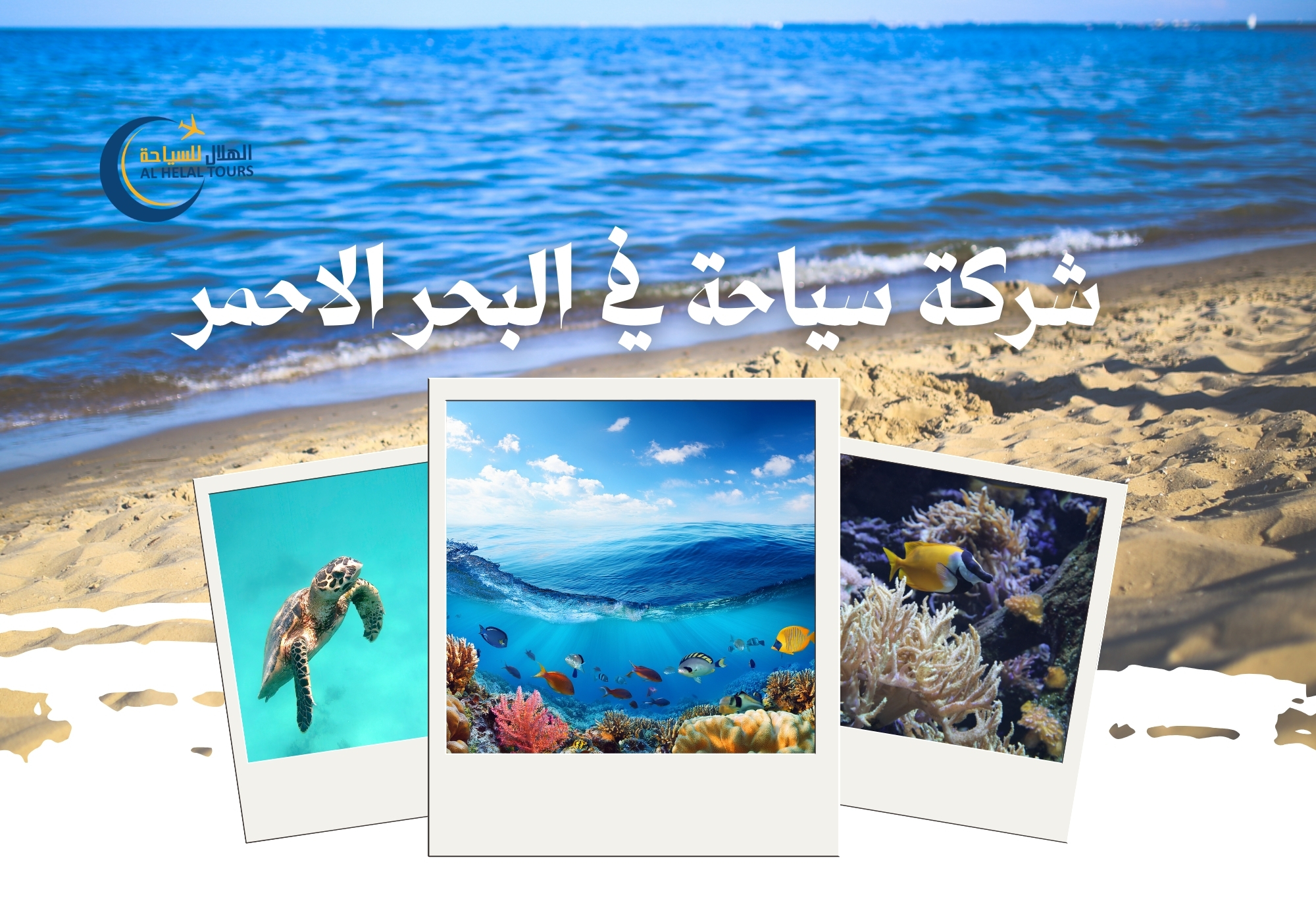 شركات سياحة